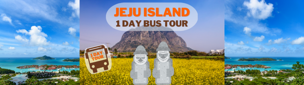 Discover Jeju: All-Inclusive Tour Package