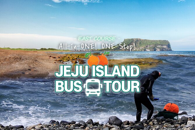 Discover the Beauty of Jeju Island on a Guided Tour