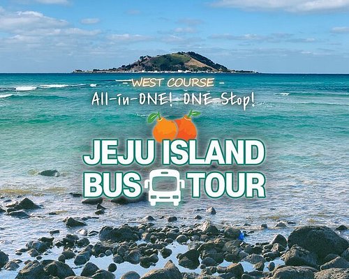 Discovering the Beauty of Jeju on a Day Trip