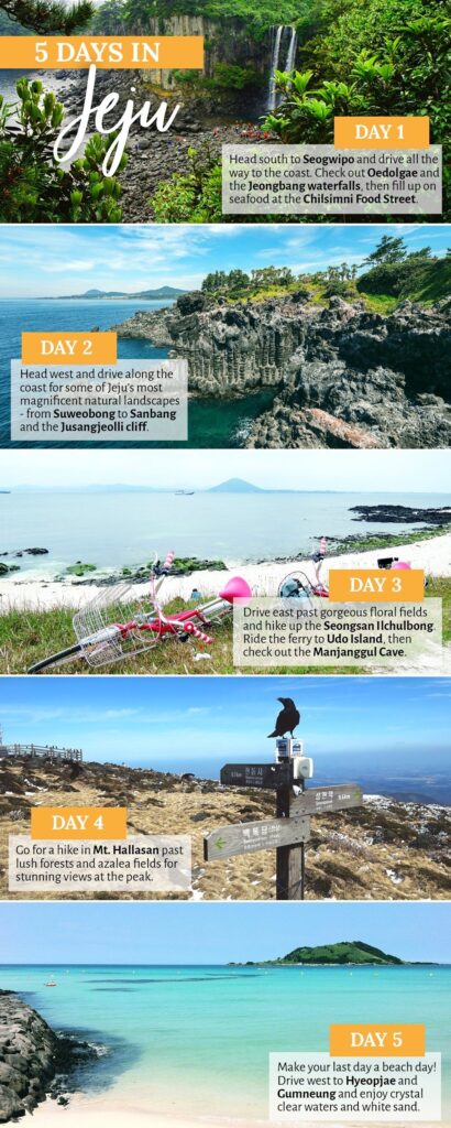 Essential Travel Guide to Jeju Island