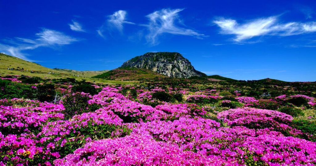 Top Attractions to Visit in Jeju Island