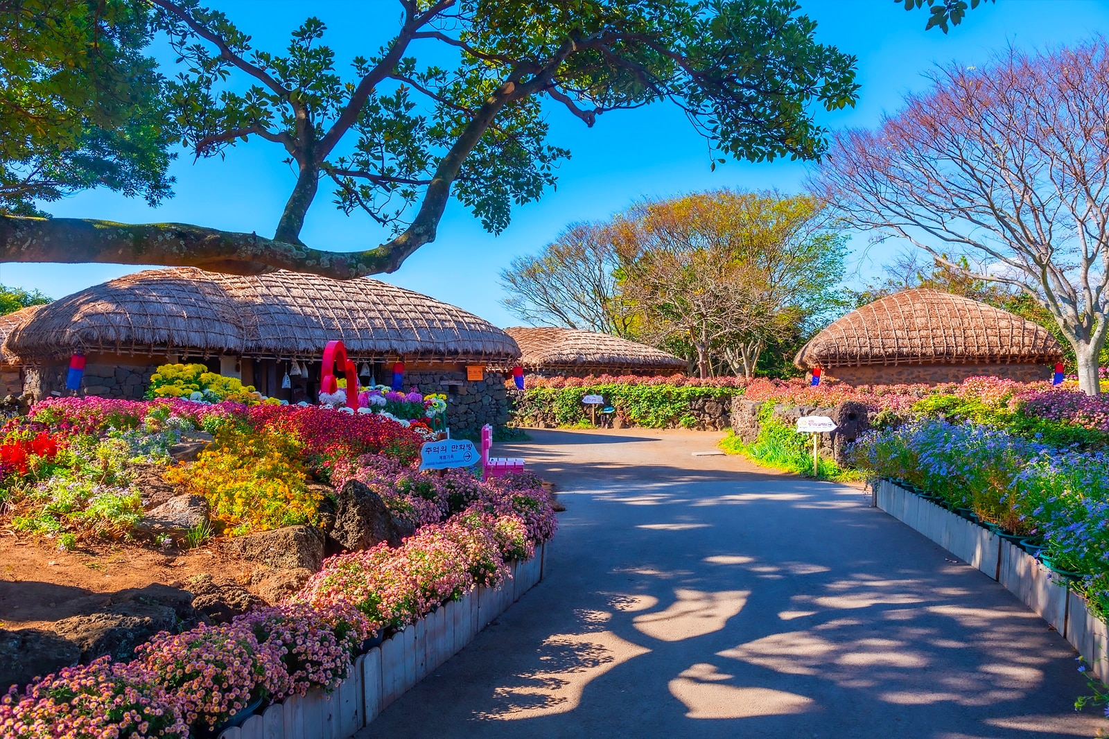 top attractions to visit on your jeju trip 4